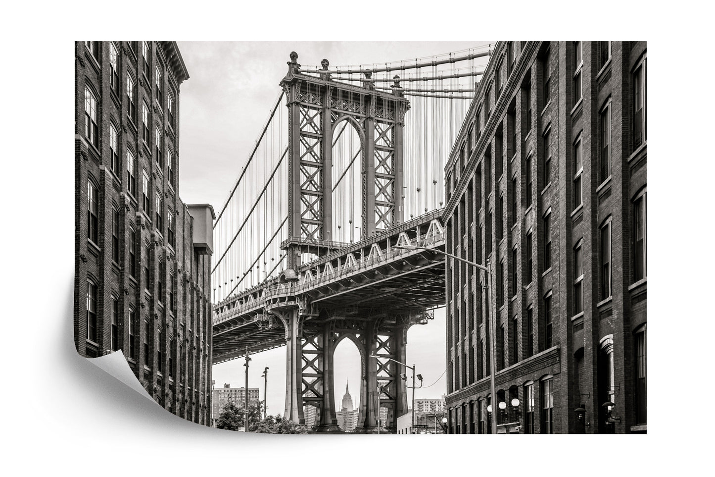 Photomural Bridge In New York City