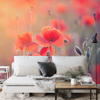 Photomural Poppy Field
