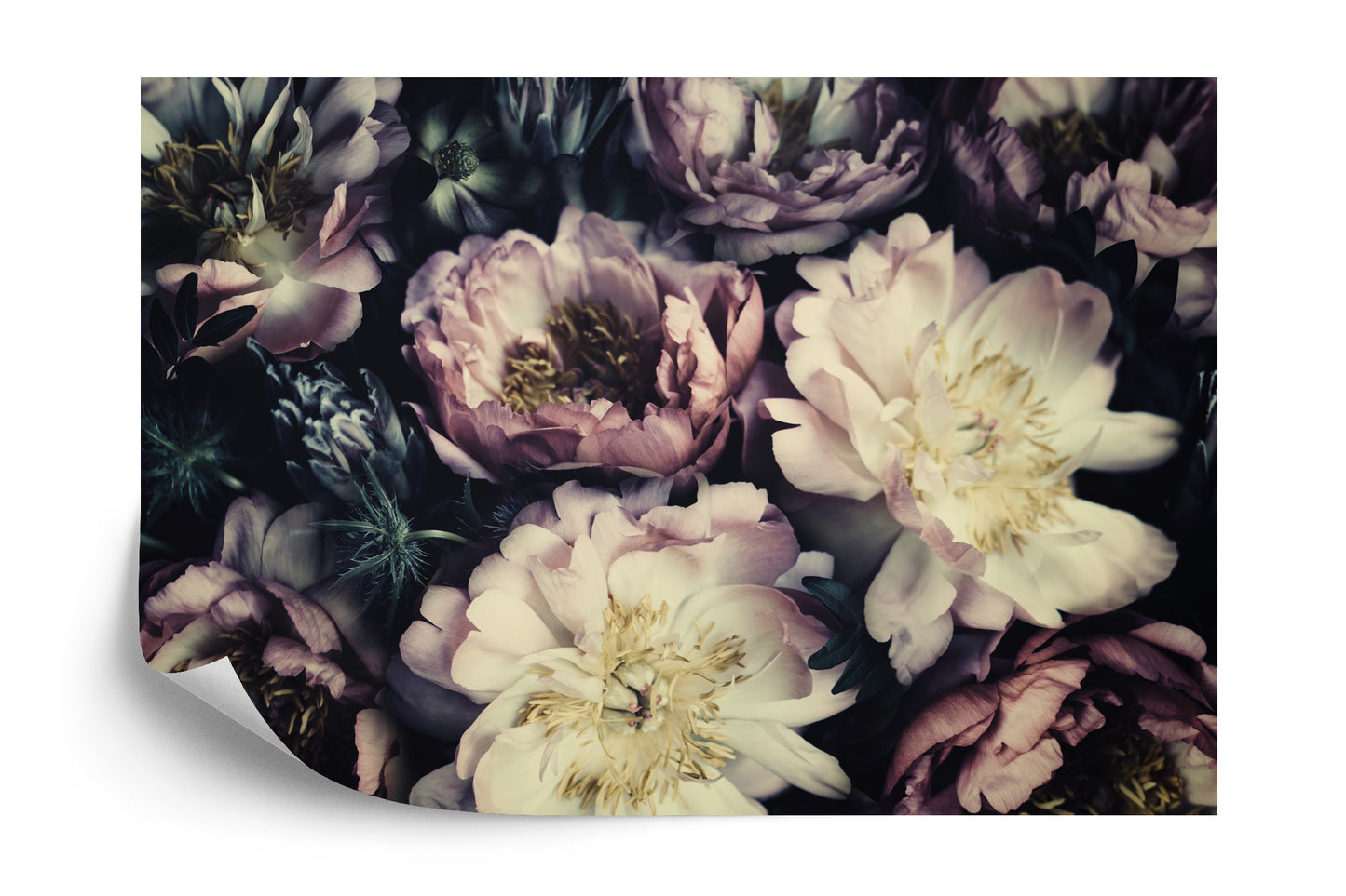 Photomural Colourful Vintage Peonies