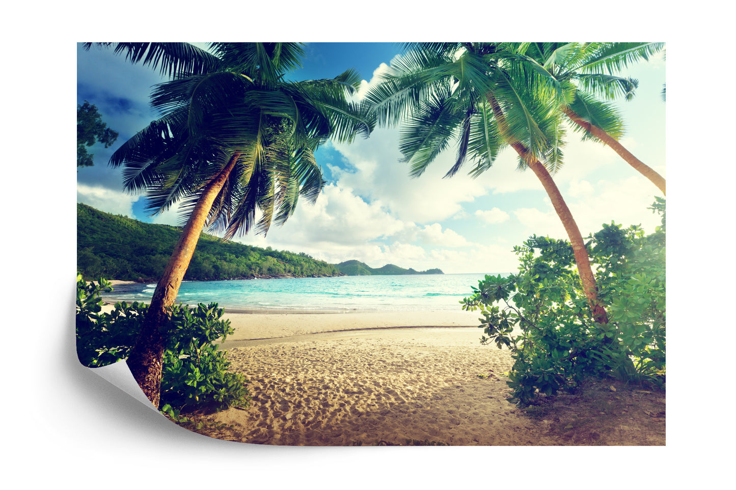 Photomural Palm Trees On The Seychelles