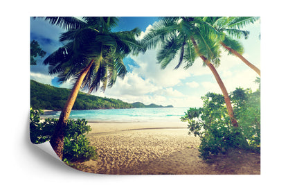 Photomural Palm Trees On The Seychelles