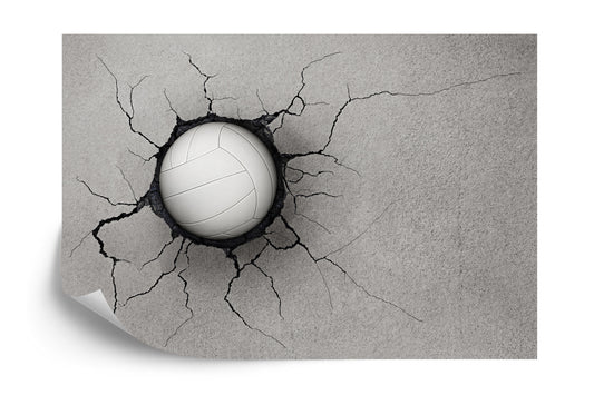 Photomural Volleyball In A Concrete Wall