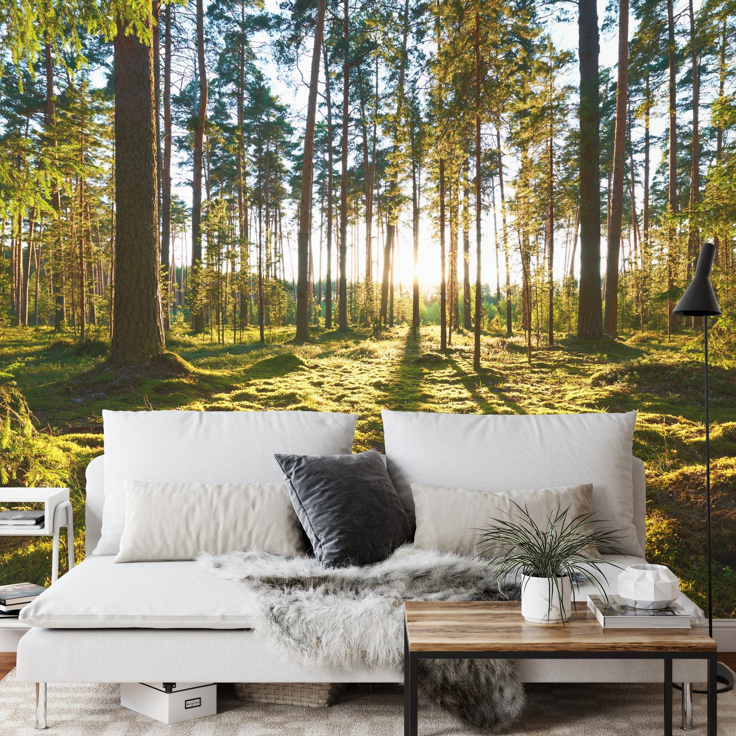 Photomural Forest Sunset