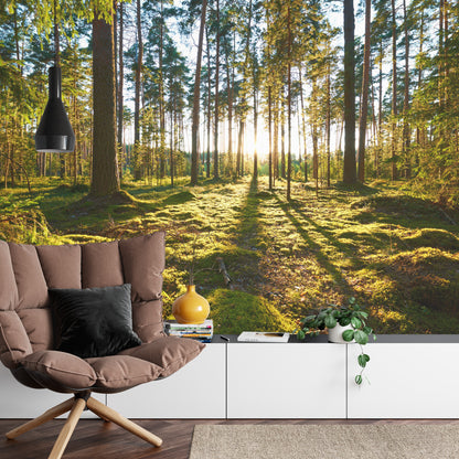 Photomural Forest Sunset
