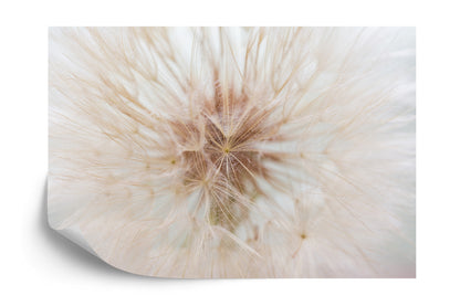 Photomural Dandelion 3D