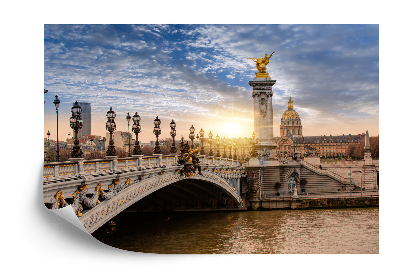 Photomural Panorama Of Paris