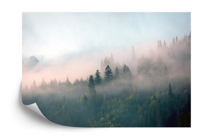 Photomural Forest In Fog