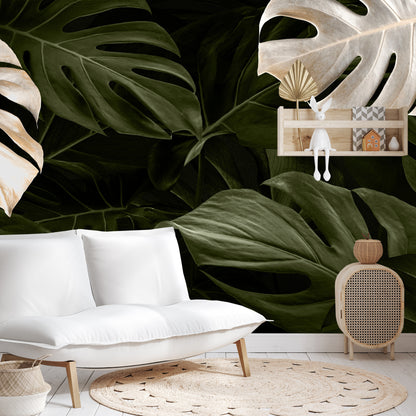 Photomural White And Green Monstera Leaves