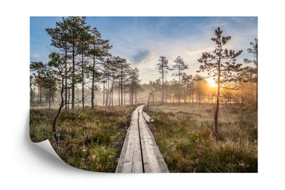 Photomural Wooden Path In The Forest