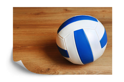 Photomural Volleyball