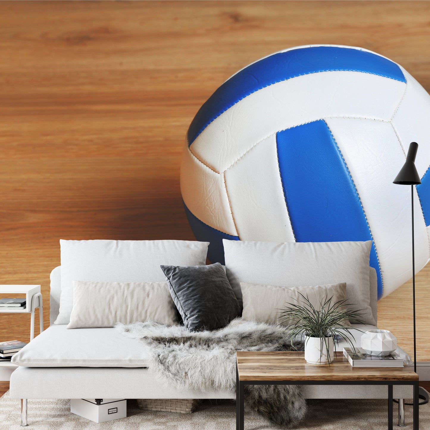 Photomural Volleyball