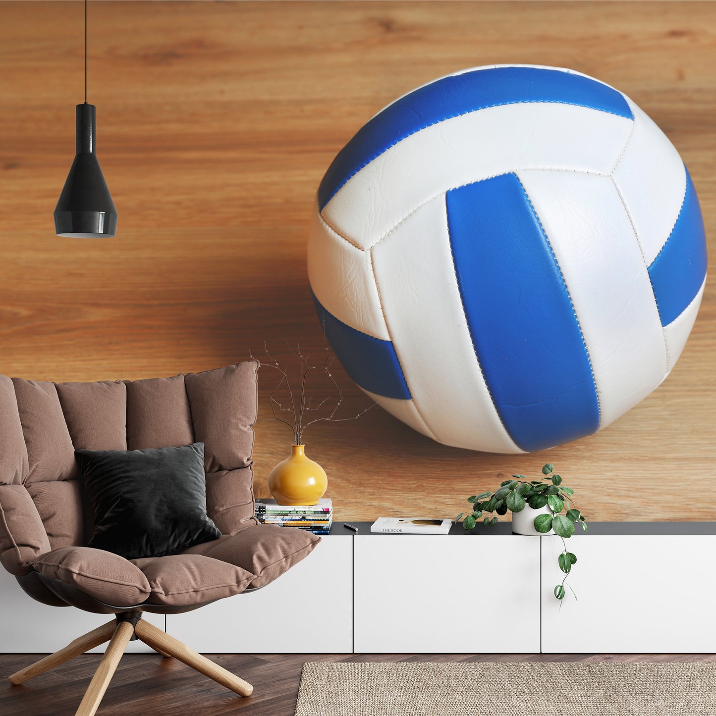 Photomural Volleyball