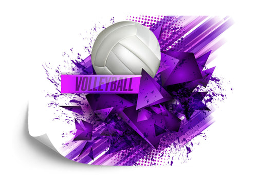 Photomural Volleyball