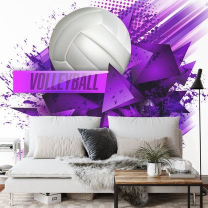 Photomural Volleyball