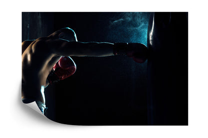 Photomural Training Boxer In The Shade
