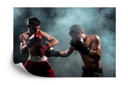 Photomural Professional Boxer Fight
