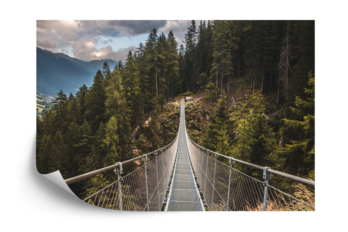 Photomural Suspension Bridge