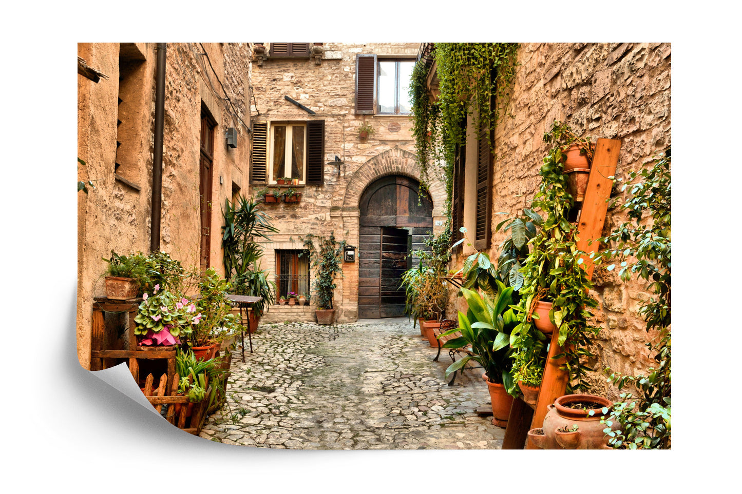Photomural Alley Flowers