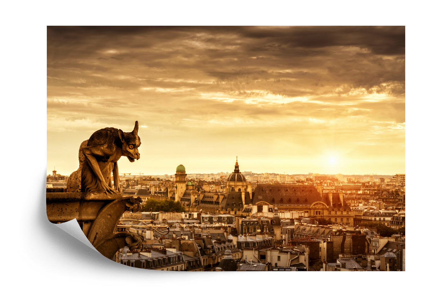 Photomural View Of Paris