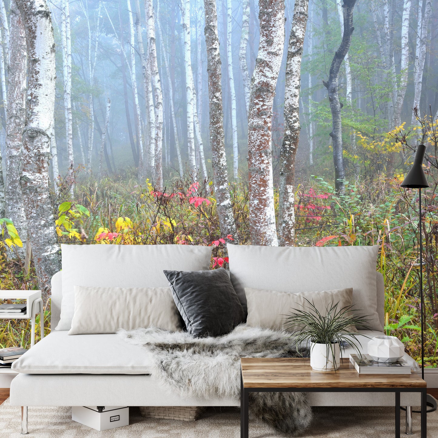 Photomural Forest In Fog
