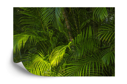 Photomural Palm Leaves