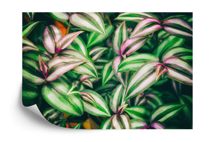 Photomural Tropical Leaves