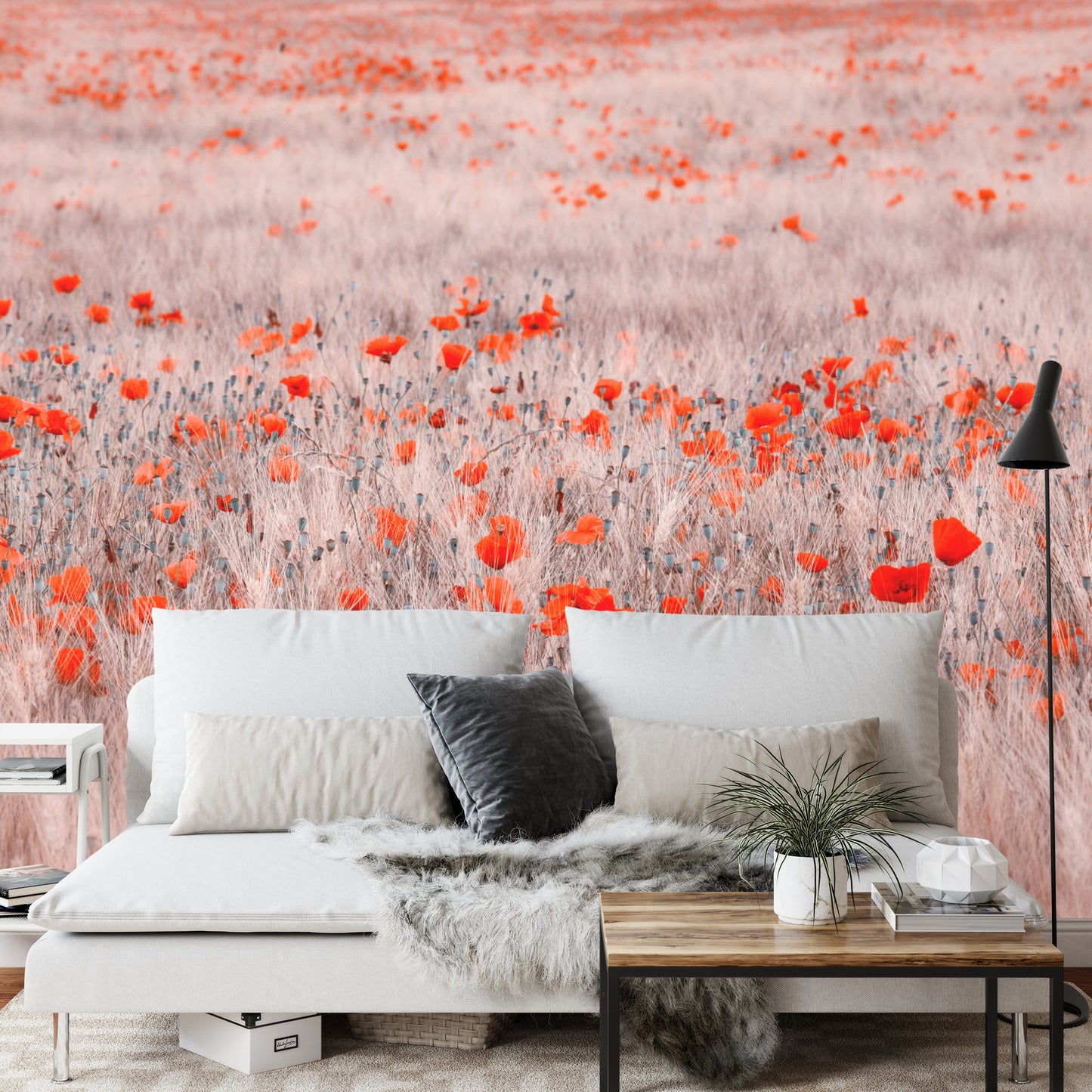 Photomural Poppy Field