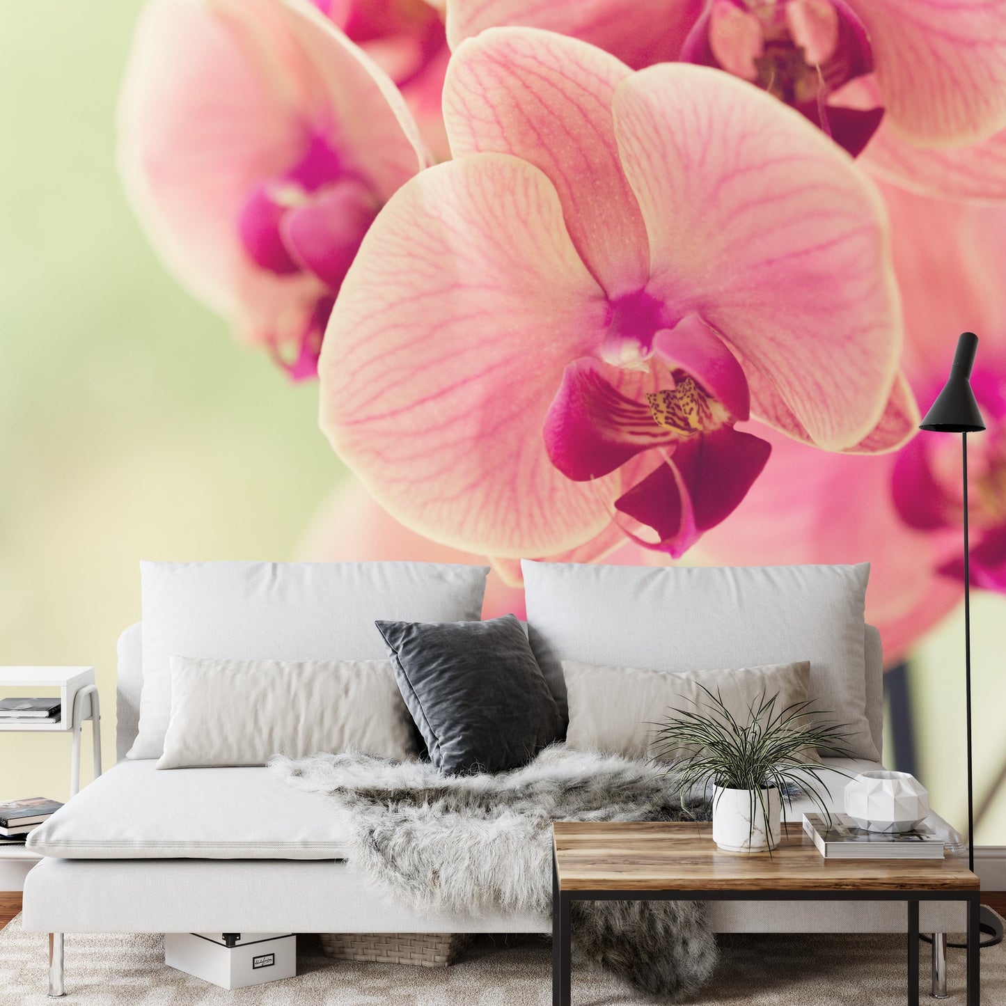 Photomural Beautiful Orchid