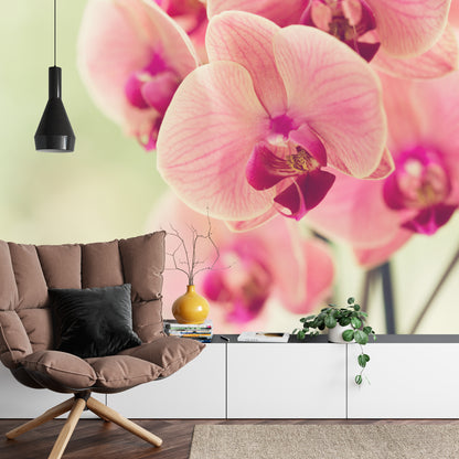 Photomural Beautiful Orchid