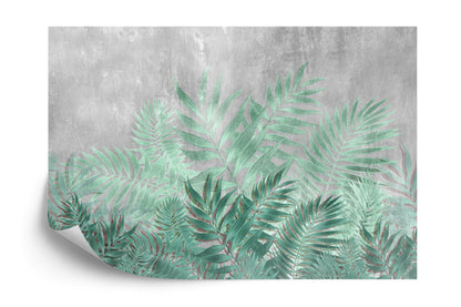 Photomural Fern On Concrete Background