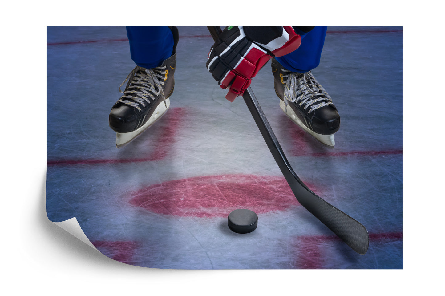 Photomural Ice Hockey Player