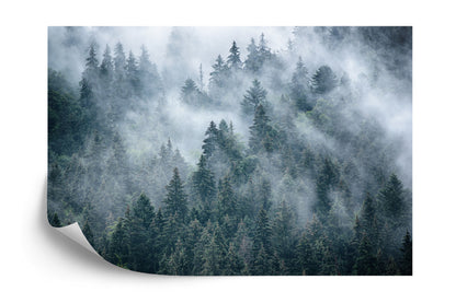 Photomural Misty Forest In The Mountains