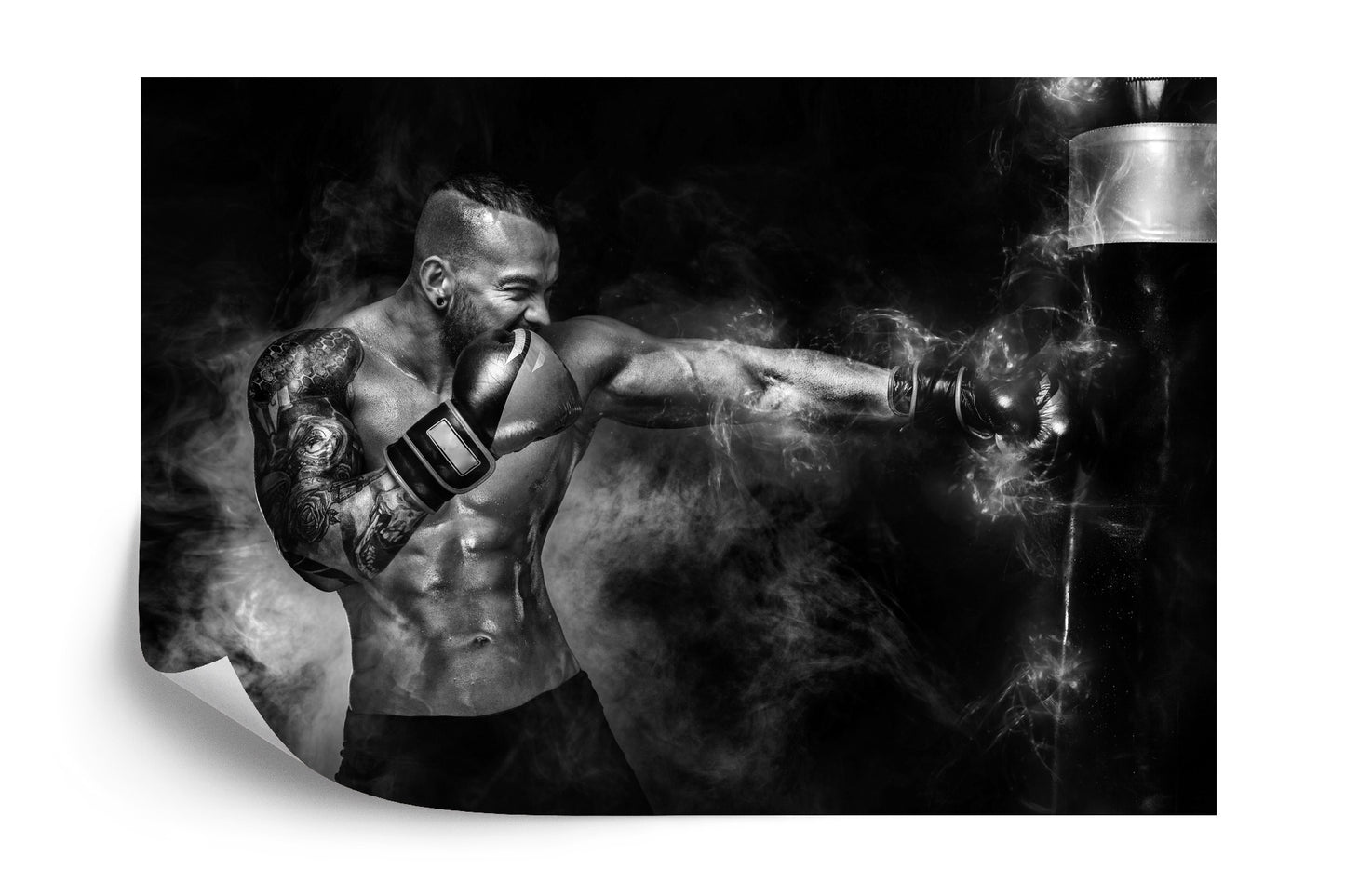 Photomural Training Boxer