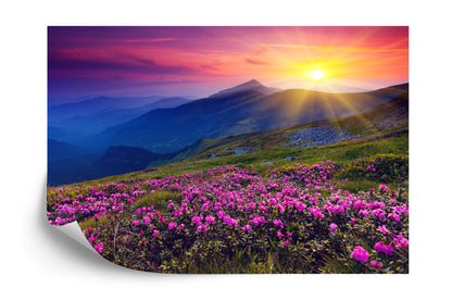 Photomural Landscape Flowers