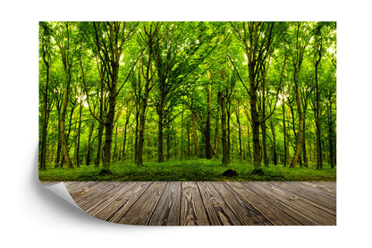 Photomural Step Into The Deep Green Wood Iq-1231