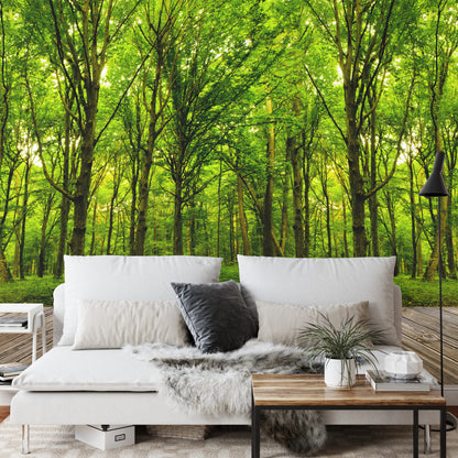 Photomural Step Into The Deep Green Wood Iq-1231