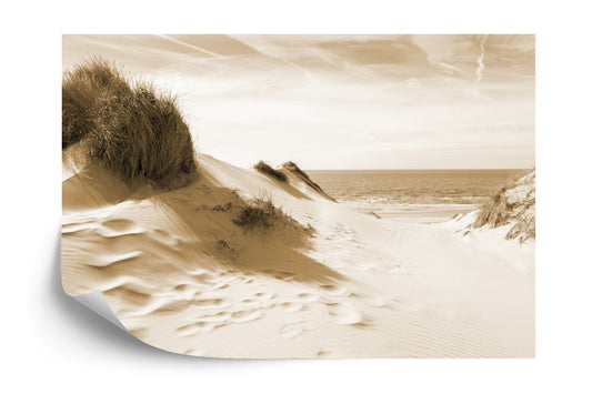 Photomural The Way To The Sea Sepia Iq-1209-C