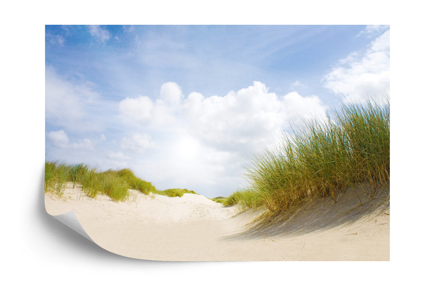 Photomural Sandy Days Iq-1216-A
