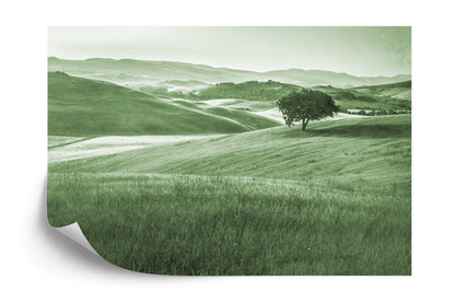Photomural Rolling Hills Faded Vintage In Green Iq-1241-E
