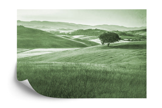 Photomural Rolling Hills Faded Vintage In Green Iq-1241-E