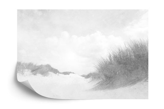 Photomural Sandy Days Faded Vintage In Black &amp; White Iq-1217-C