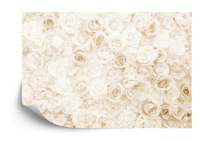 Photomural Floral Faded Vinage Sepia Iq-1221-B
