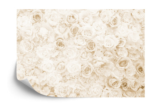Photomural Floral Faded Vinage Sepia Iq-1221-B