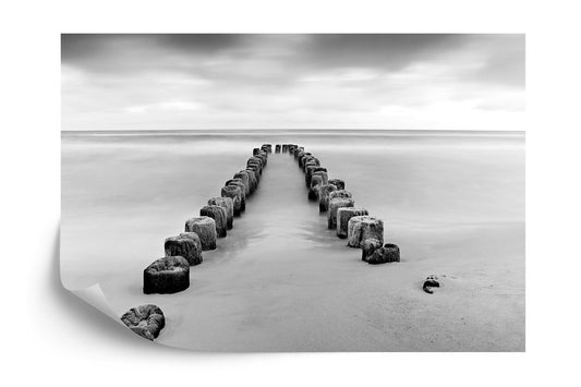 Photomural Ebb And Flow Black &amp; White Iq-1223-C