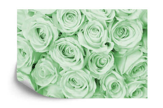 Photomural Rose Bouquet Green Iq-1225-C