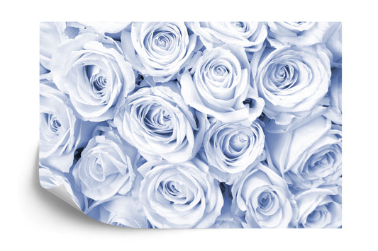 Photomural Rose Bouquet Blue Iq-1225-E