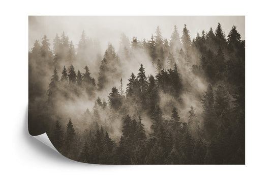 Photomural Forest In The Mist In Sepia Iq-1227-E