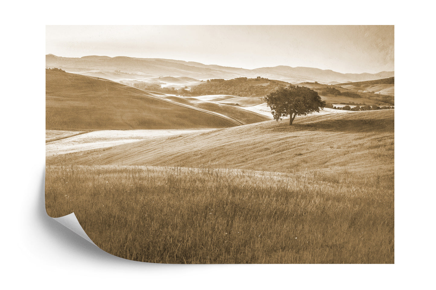 Photomural Rolling Hills Faded Vintage In Sepia Iq-1241-B