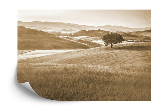 Photomural Rolling Hills Faded Vintage In Sepia Iq-1241-B