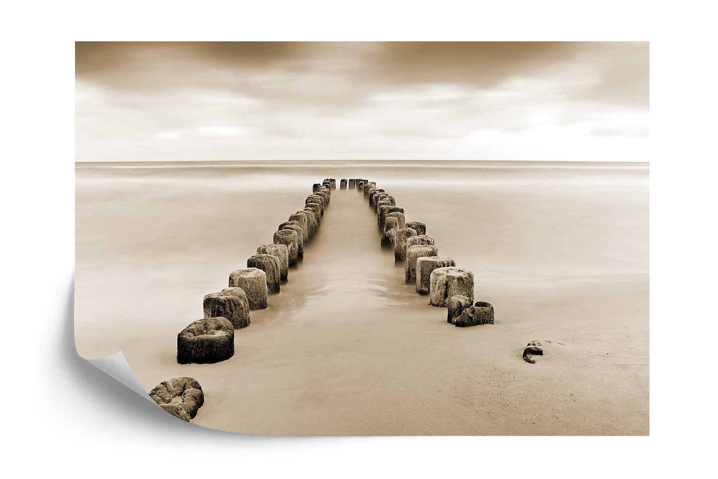 Photomural Ebb And Flow Sepia Iq-1223-B